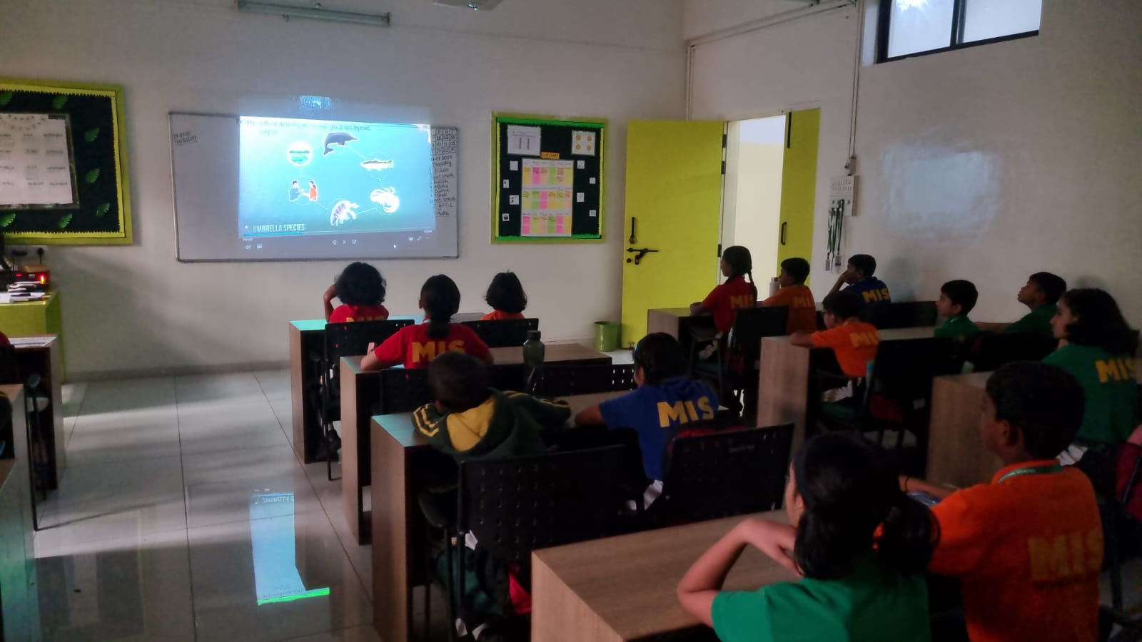 Eco Club activity 1