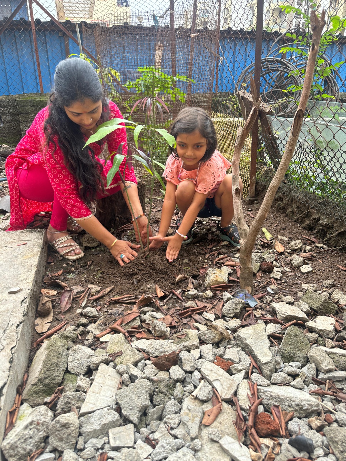 Eco Club activity 6