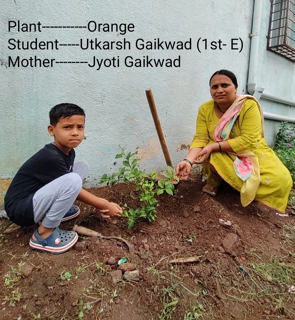 Eco Club activity 16