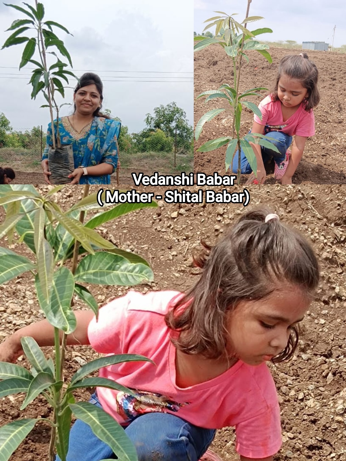 Eco Club activity 10