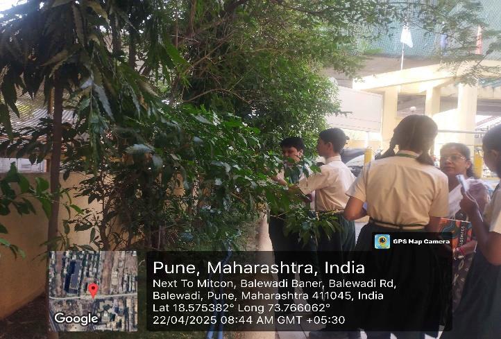 Eco Club activity 24