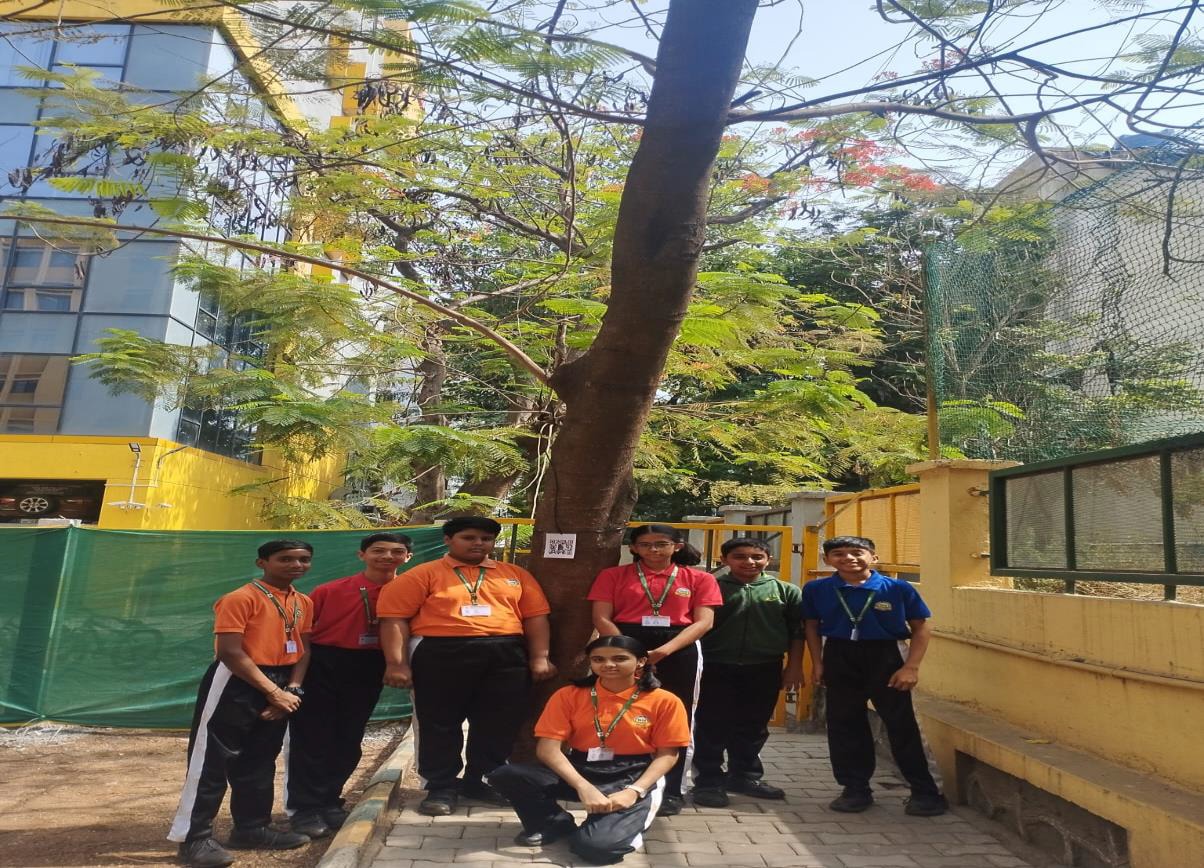 Eco Club activity 26