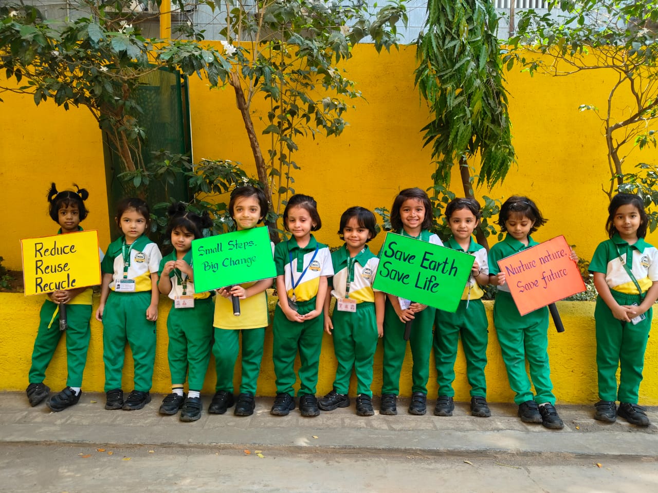 Eco Club activity 17