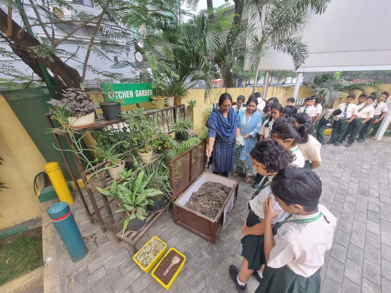 Eco Club activity 36