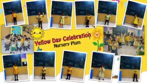 Yellow Day celebration at MIS International School